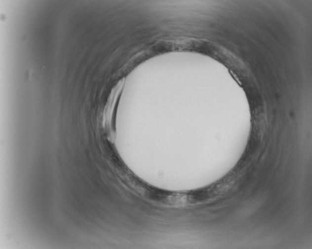 X0000086330225200704271950