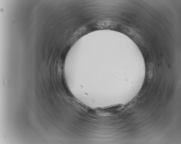 X0000086330226200704271950