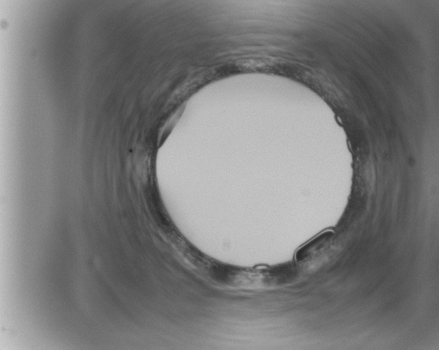 X0000086330227200704271950