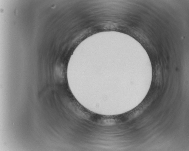 X0000086330228200704271950