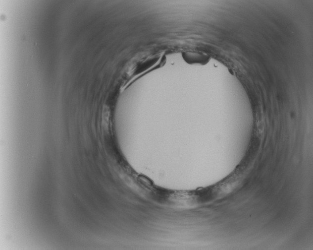 X0000086330231200704271950