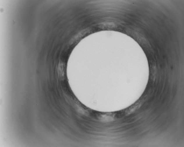 X0000086330232200704271950