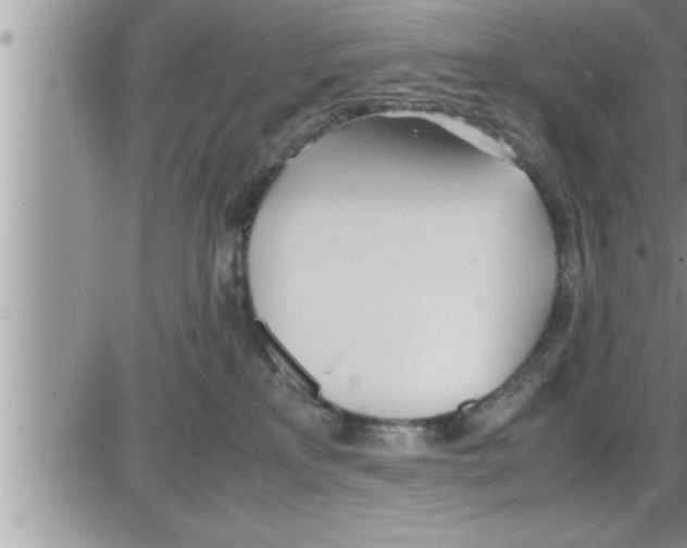 X0000086330233200704271950