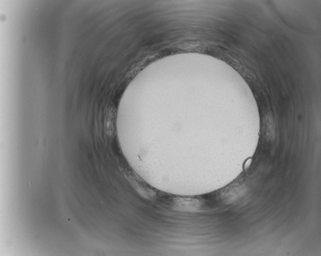 X0000086330234200704271950