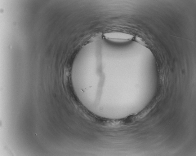 X0000086330235200704271950