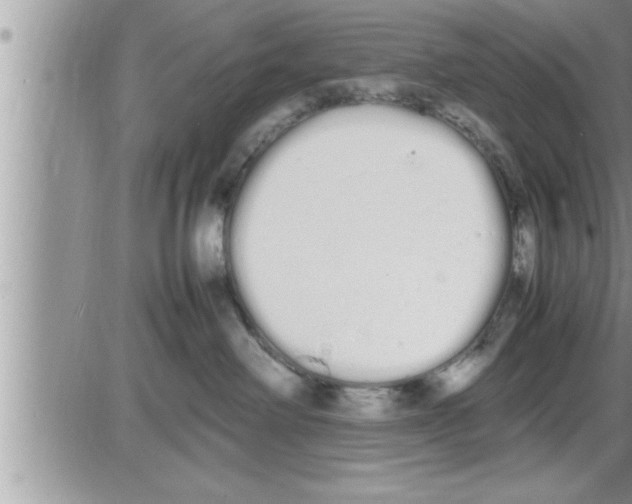 X0000086330238200704271950