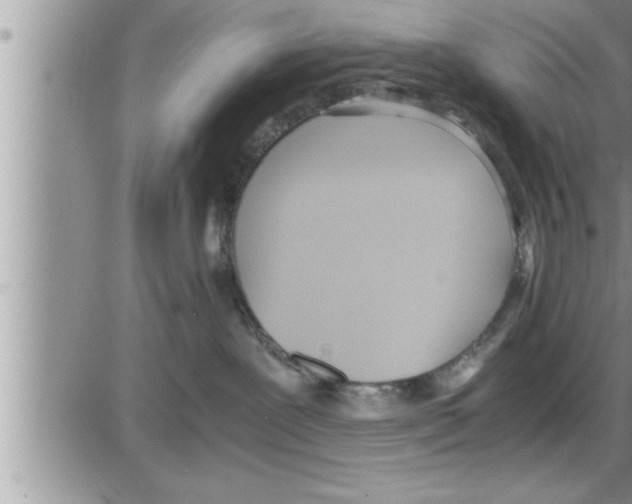 X0000086330239200704271950