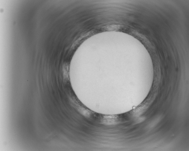 X0000086330240200704271950