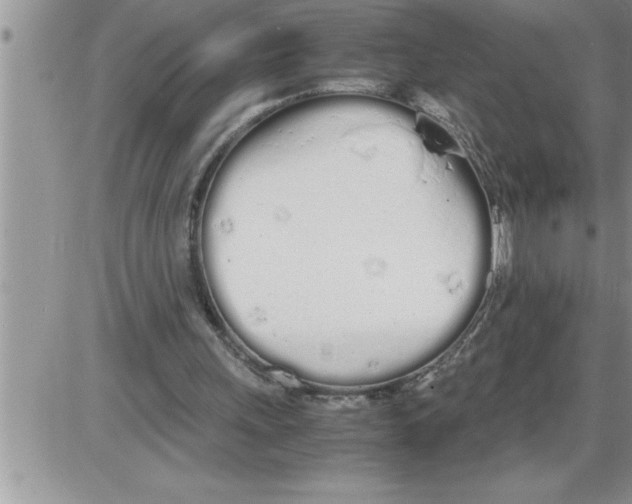 X0000086330243200704271949