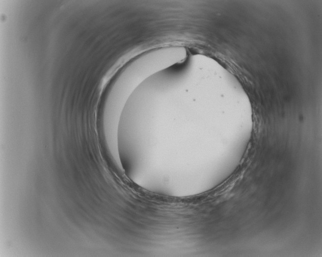 X0000086330244200704271949