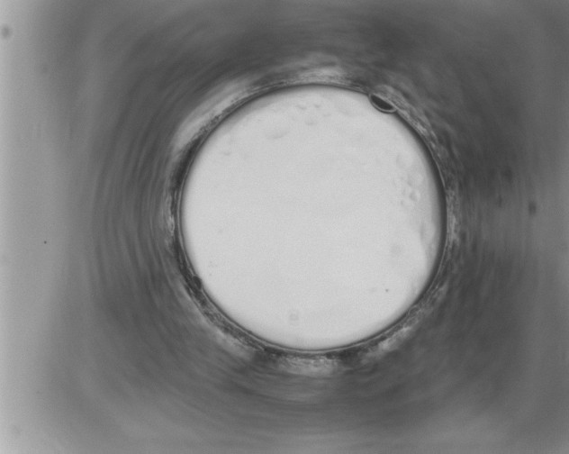 X0000086330245200704271949