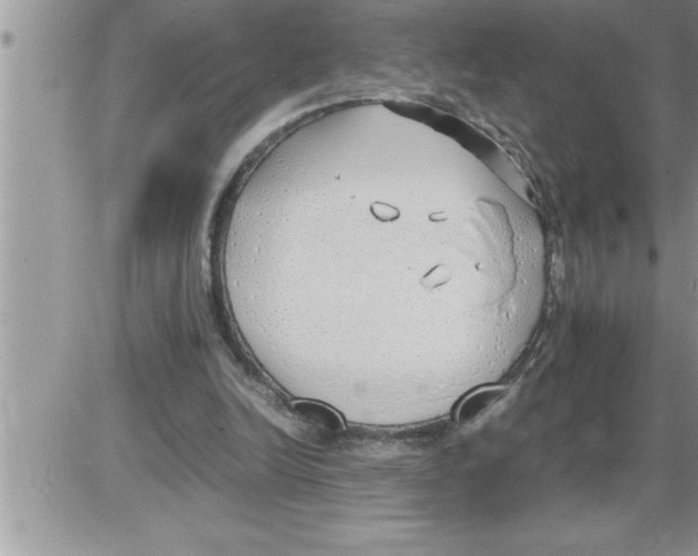 X0000086330246200704271949