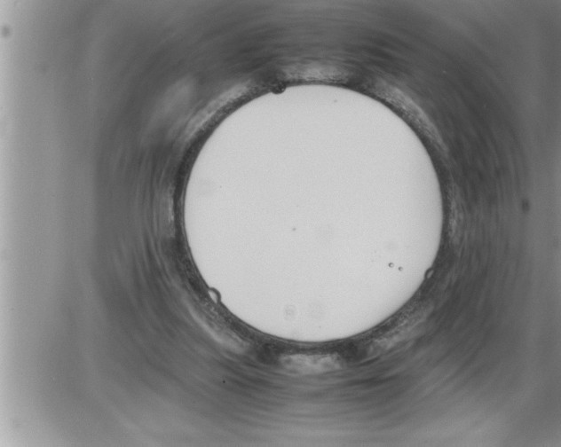 X0000086330251200704271949