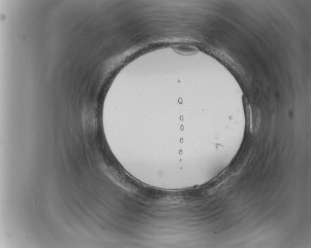 X0000086330252200704271949