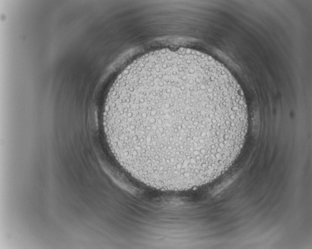 X0000086330254200704271949