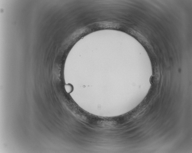 X0000086330255200704271949