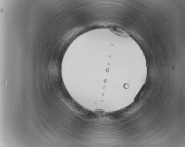 X0000086330256200704271949