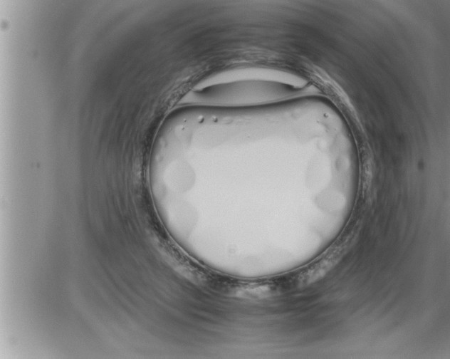 X0000086330257200704271949