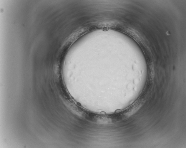 X0000086330258200704271949