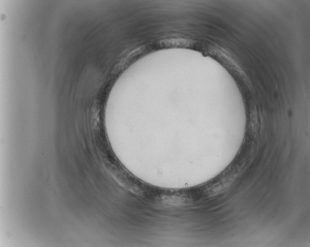 X0000086330259200704271949