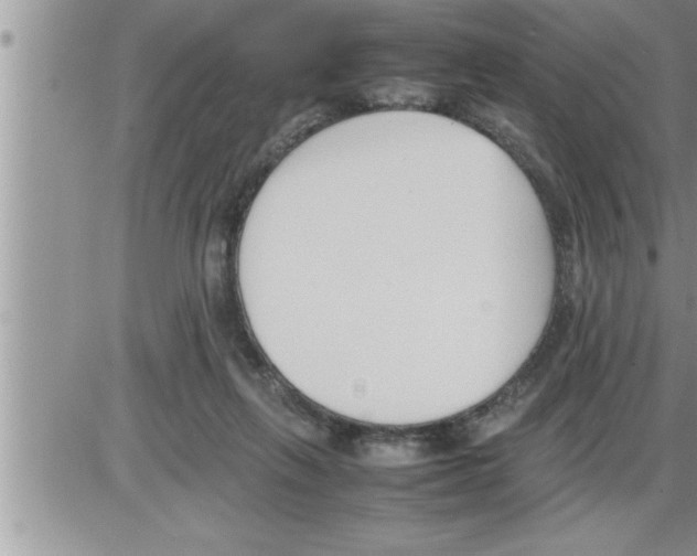 X0000086330263200704271949