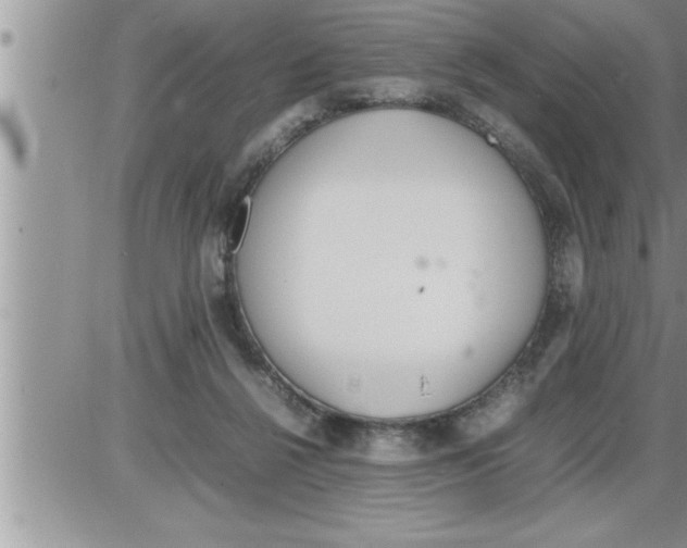 X0000086330264200704271949