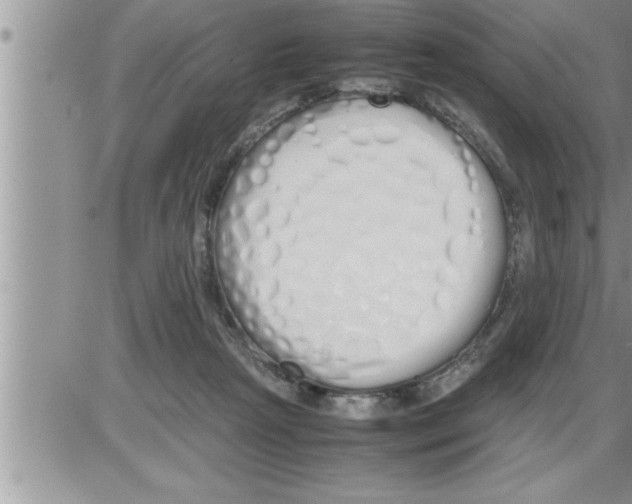 X0000086330265200704271949