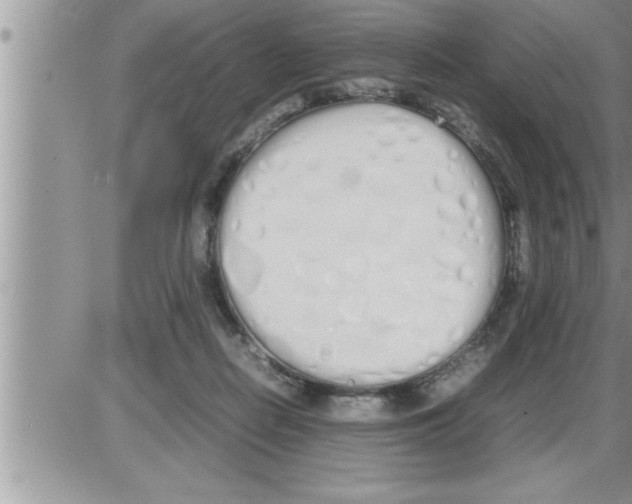 X0000086330266200704271949