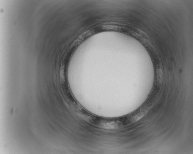 X0000086330267200704271949