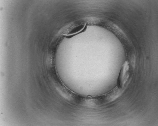 X0000086330268200704271949