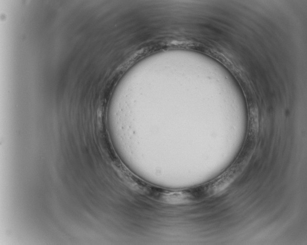 X0000086330269200704271949