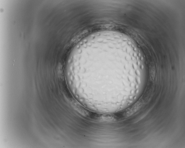 X0000086330270200704271950