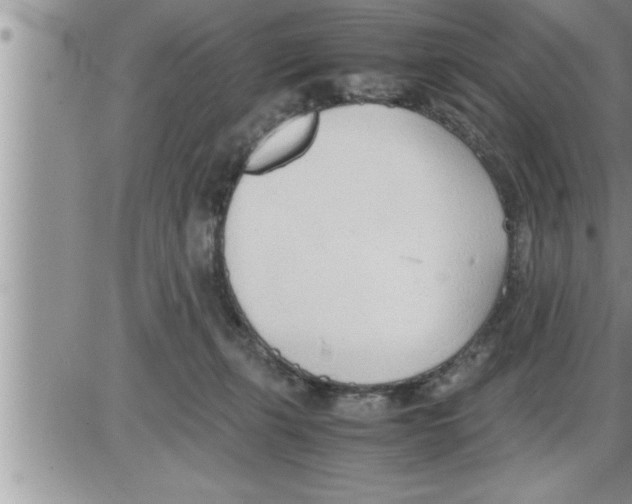 X0000086330271200704271950