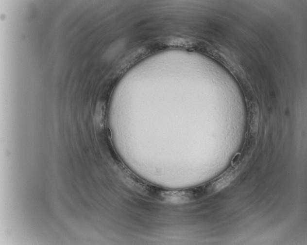 X0000086330273200704271950