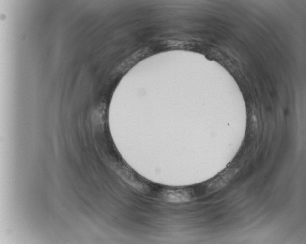 X0000086330275200704271950