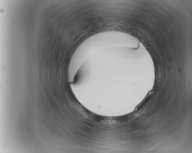 X0000086330276200704271950