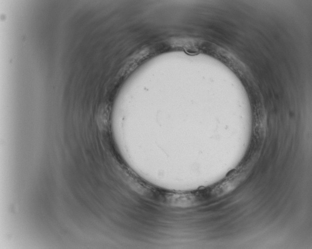 X0000086330277200704271950