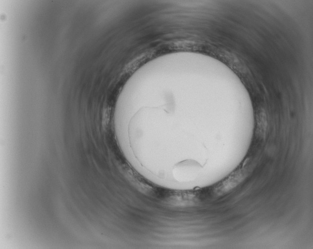 X0000086330278200704271950