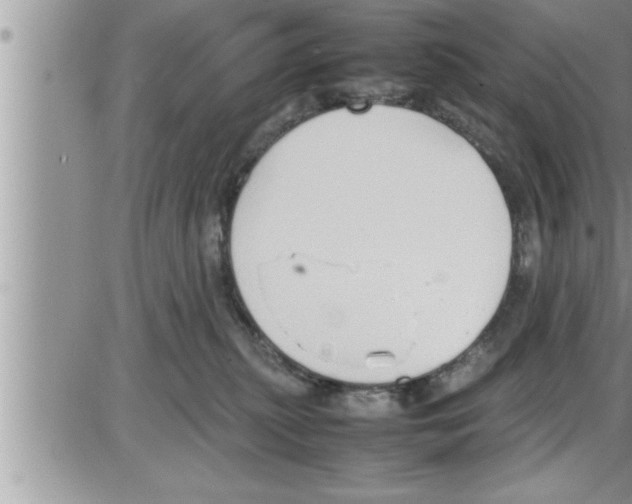 X0000086330279200704271950