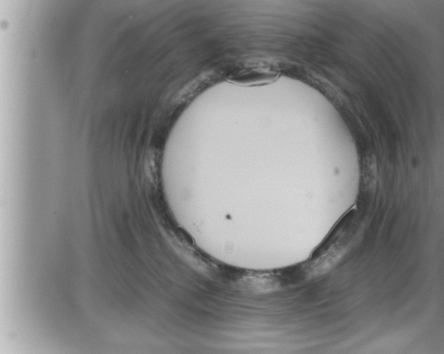 X0000086330280200704271950