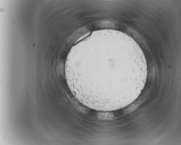 X0000086330281200704271950