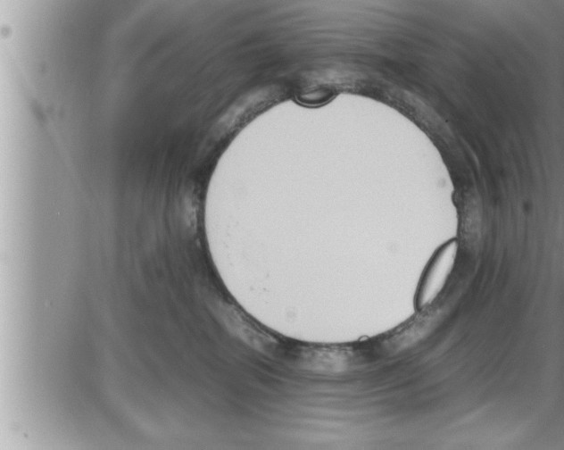 X0000086330282200704271950