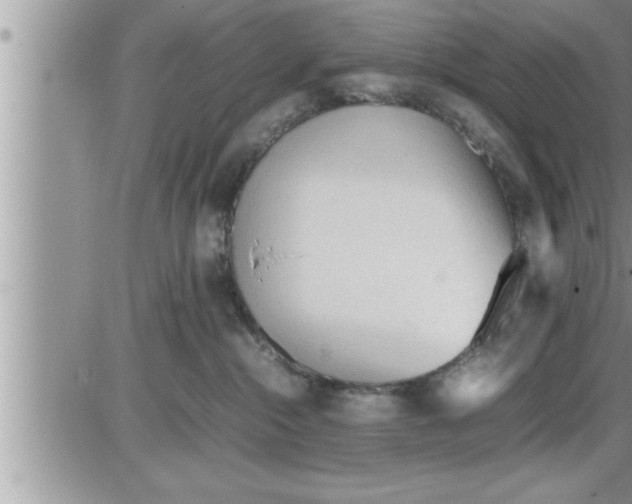 X0000086330284200704271950