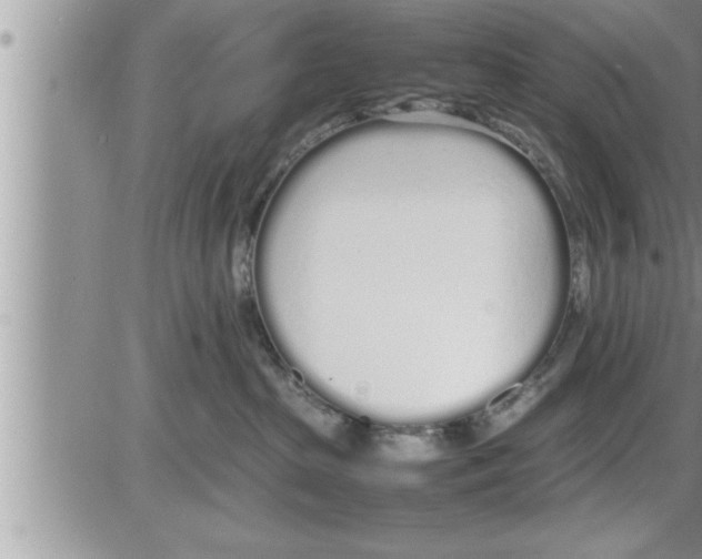 X0000086330285200704271950