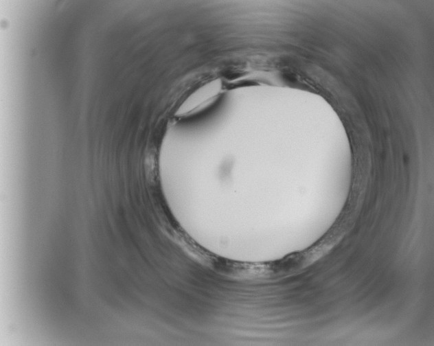 X0000086330288200704271950