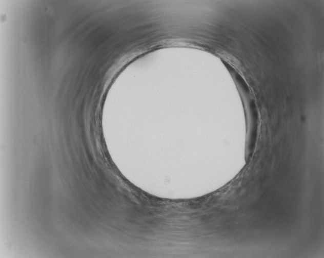 X0000086330289200704271949