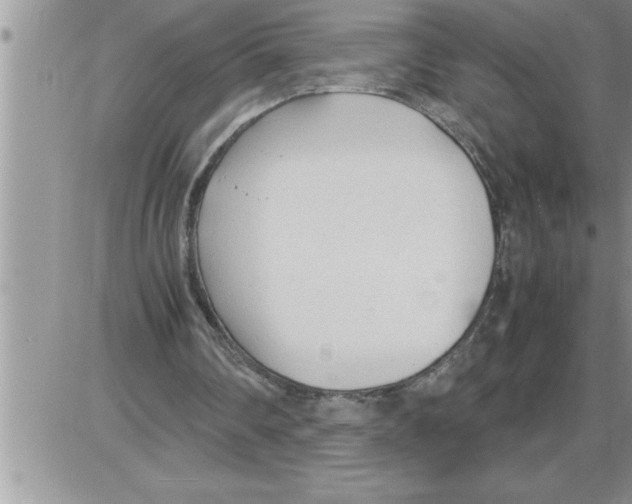 X0000086330290200704271949