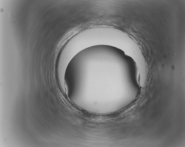 X0000086330293200704271949