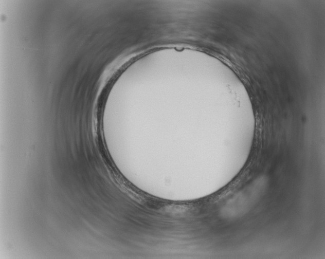 X0000086330294200704271949