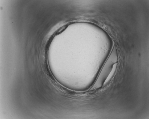 X0000086330295200704271949